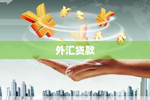 前锋外汇贷款