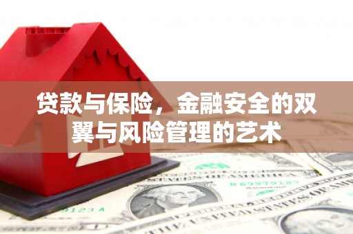 前锋贷款与保险，金融安全的双翼与风险管理的艺术