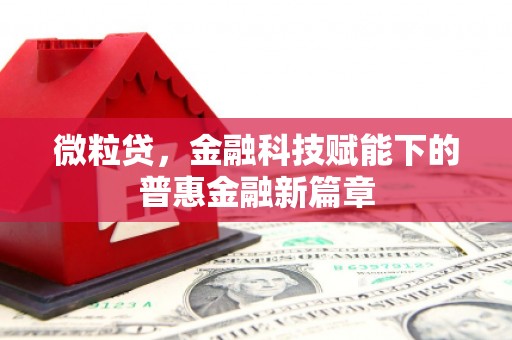 前锋微粒贷，金融科技赋能下的普惠金融新篇章