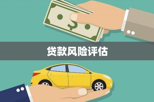前锋贷款风险评估