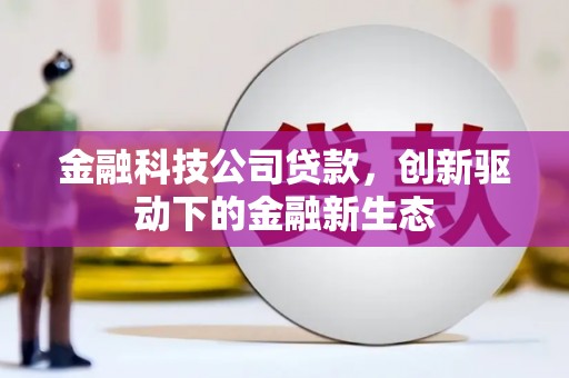 前锋金融科技公司贷款，创新驱动下的金融新生态