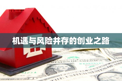 前锋机遇与风险并存的创业之路