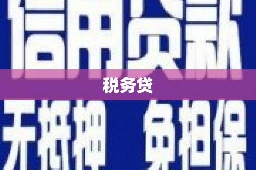 前锋税务贷