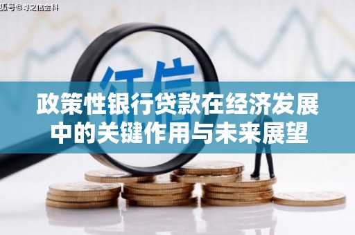 前锋政策性银行贷款在经济发展中的关键作用与未来展望