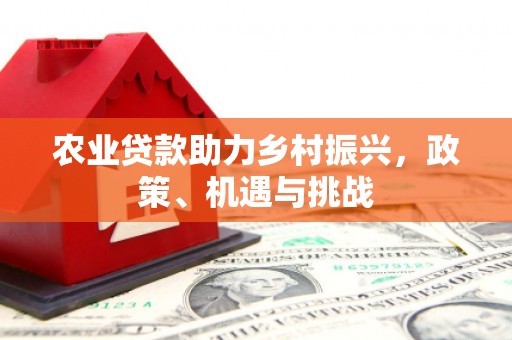 前锋农业贷款助力乡村振兴，政策、机遇与挑战