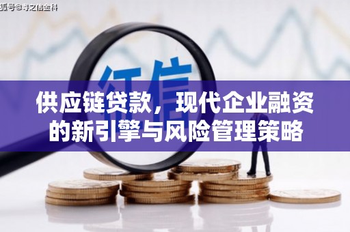 前锋供应链贷款，现代企业融资的新引擎与风险管理策略
