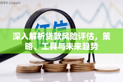 前锋深入解析贷款风险评估，策略、工具与未来趋势