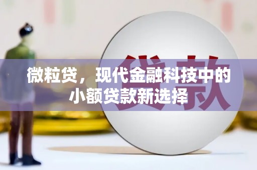 前锋微粒贷，现代金融科技中的小额贷款新选择