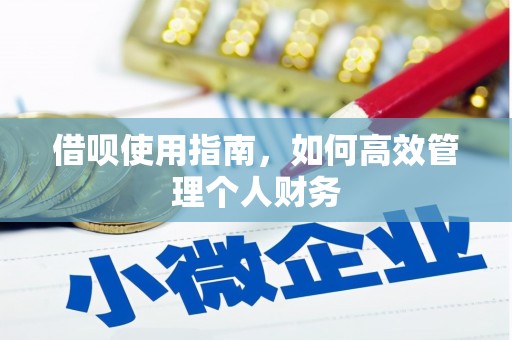 前锋借呗使用指南，如何高效管理个人财务