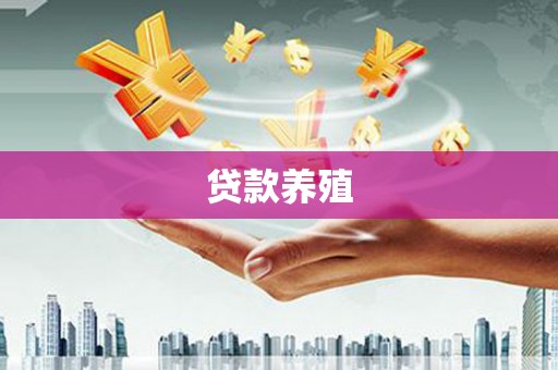 前锋贷款养殖