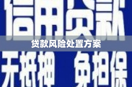 前锋贷款风险处置方案