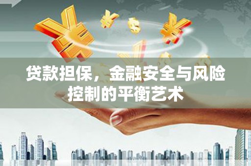 前锋贷款担保，金融安全与风险控制的平衡艺术
