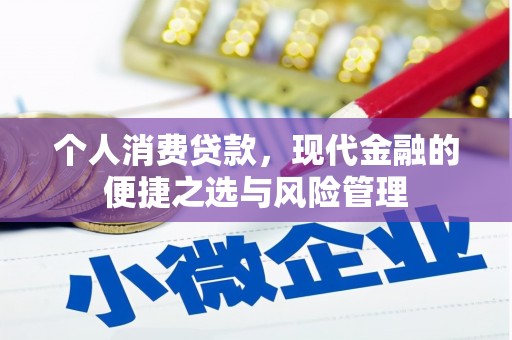 前锋个人消费贷款，现代金融的便捷之选与风险管理