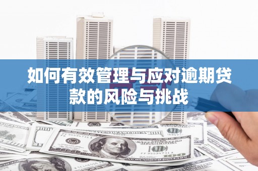 前锋如何有效管理与应对逾期贷款的风险与挑战