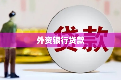 前锋外资银行贷款