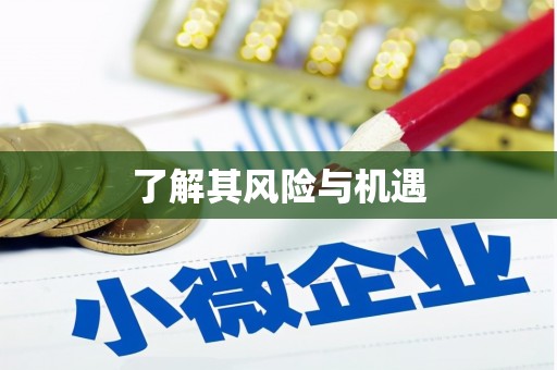 前锋了解其风险与机遇