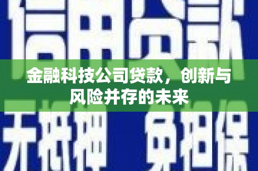 前锋金融科技公司贷款，创新与风险并存的未来