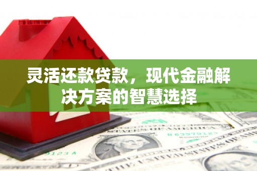 前锋灵活还款贷款，现代金融解决方案的智慧选择