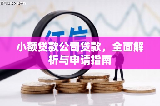 前锋小额贷款公司贷款，全面解析与申请指南