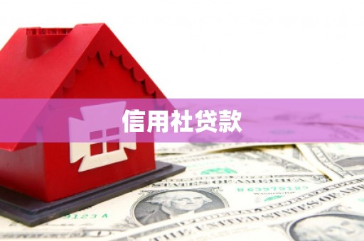 前锋信用社贷款