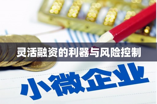 前锋灵活融资的利器与风险控制