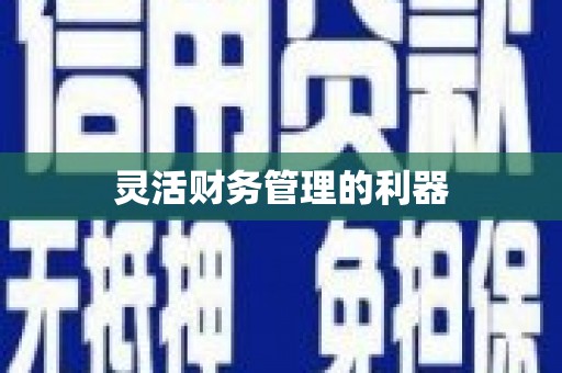 前锋灵活财务管理的利器