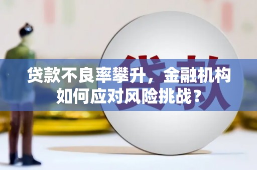 前锋贷款不良率攀升，金融机构如何应对风险挑战？