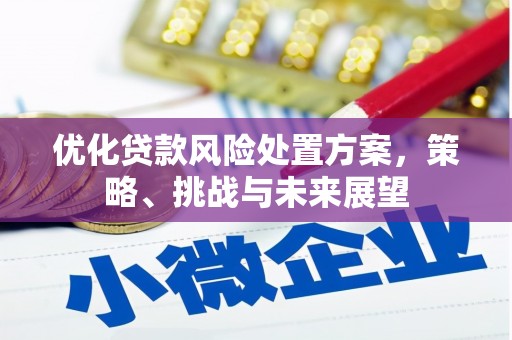 前锋优化贷款风险处置方案，策略、挑战与未来展望
