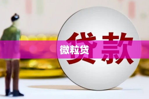 前锋微粒贷