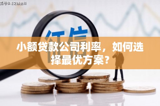 前锋小额贷款公司利率，如何选择最优方案？