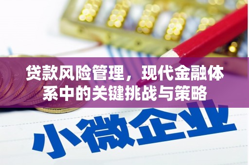 前锋贷款风险管理，现代金融体系中的关键挑战与策略