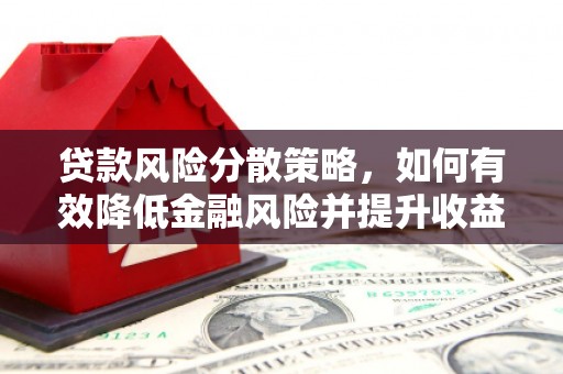 前锋贷款风险分散策略，如何有效降低金融风险并提升收益