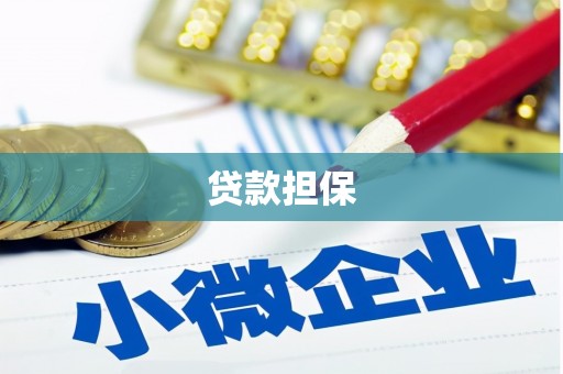 前锋贷款担保