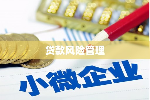 前锋贷款风险管理