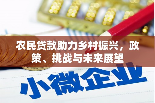 前锋农民贷款助力乡村振兴，政策、挑战与未来展望