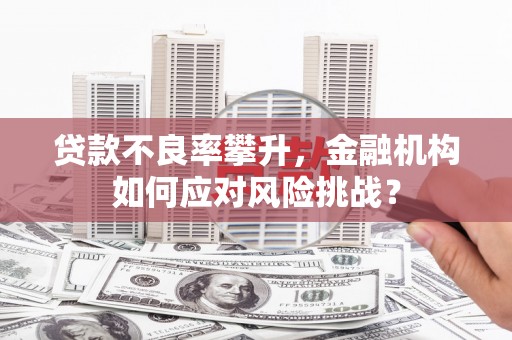前锋贷款不良率攀升，金融机构如何应对风险挑战？