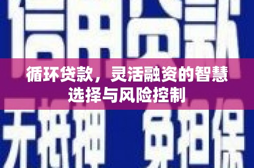 前锋循环贷款，灵活融资的智慧选择与风险控制