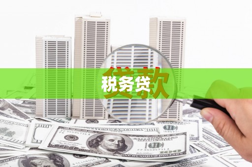 前锋税务贷