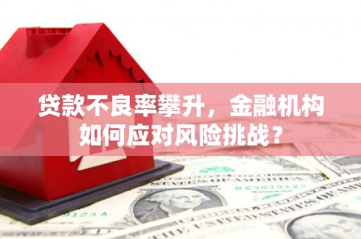 前锋贷款不良率攀升，金融机构如何应对风险挑战？