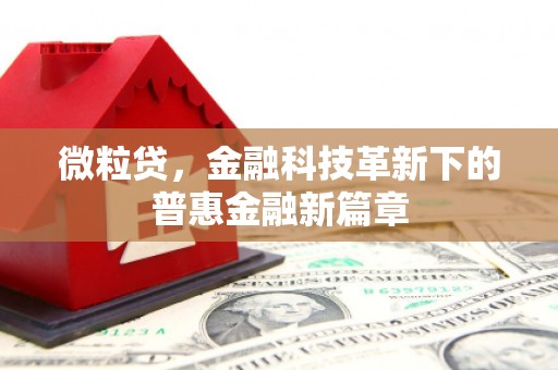 前锋微粒贷，金融科技革新下的普惠金融新篇章