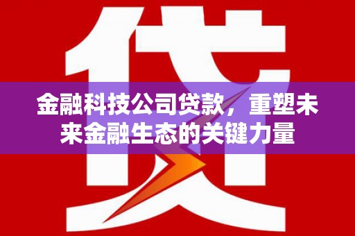 前锋金融科技公司贷款，重塑未来金融生态的关键力量