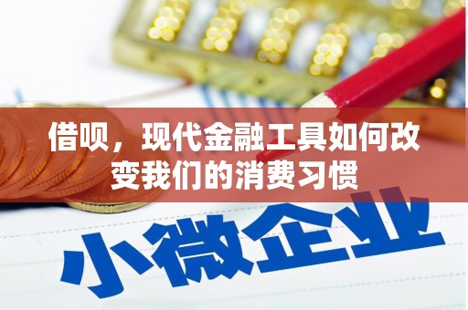 前锋借呗，现代金融工具如何改变我们的消费习惯