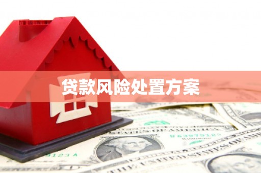 前锋贷款风险处置方案