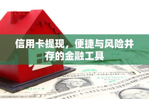 前锋信用卡提现，便捷与风险并存的金融工具