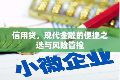 前锋信用贷，现代金融的便捷之选与风险管控