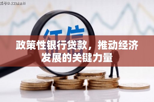 前锋政策性银行贷款，推动经济发展的关键力量