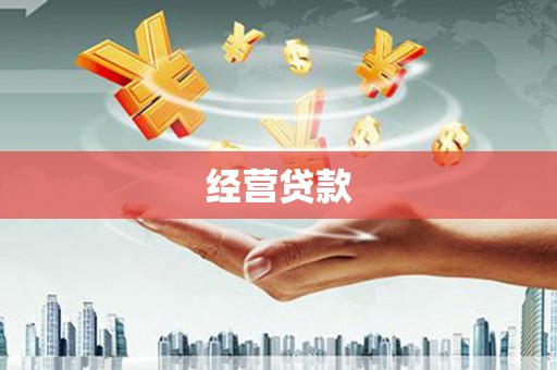 前锋经营贷款