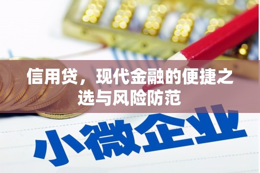 前锋信用贷，现代金融的便捷之选与风险防范