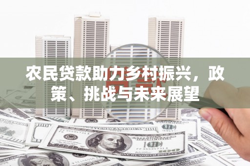 前锋农民贷款助力乡村振兴，政策、挑战与未来展望
