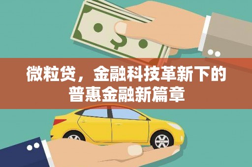 前锋微粒贷，金融科技革新下的普惠金融新篇章